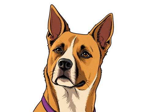 Cooper